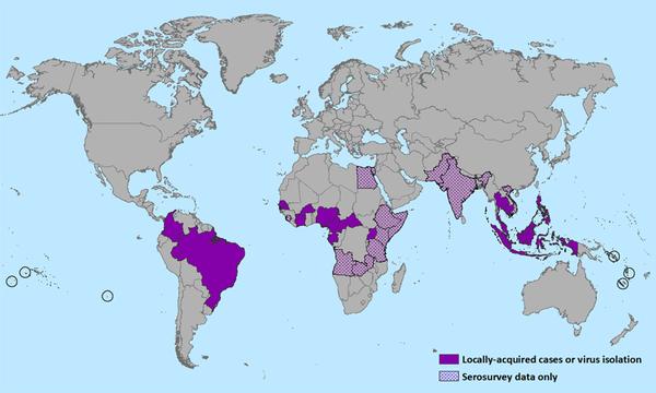 潜在的威胁——寨卡病毒（zika Virus） 知乎 