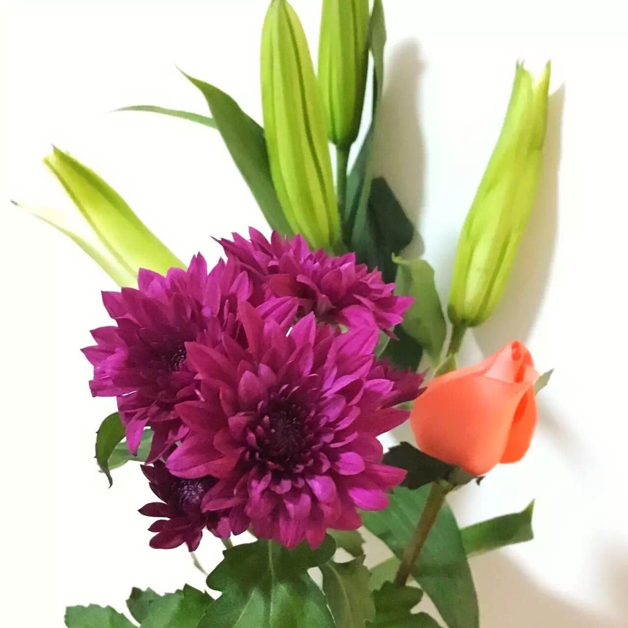 紫色这个是什么花? - 植物辨识 - 知乎