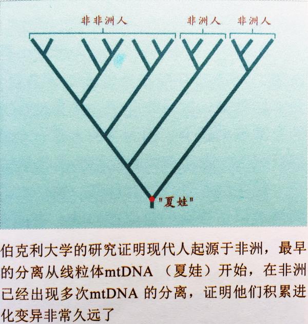 人類都起源自非洲嗎 超級無敵摩托車短知乎