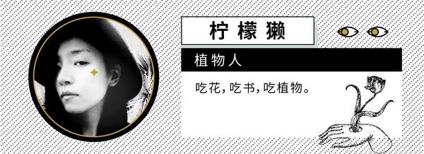 绿野仙踪
