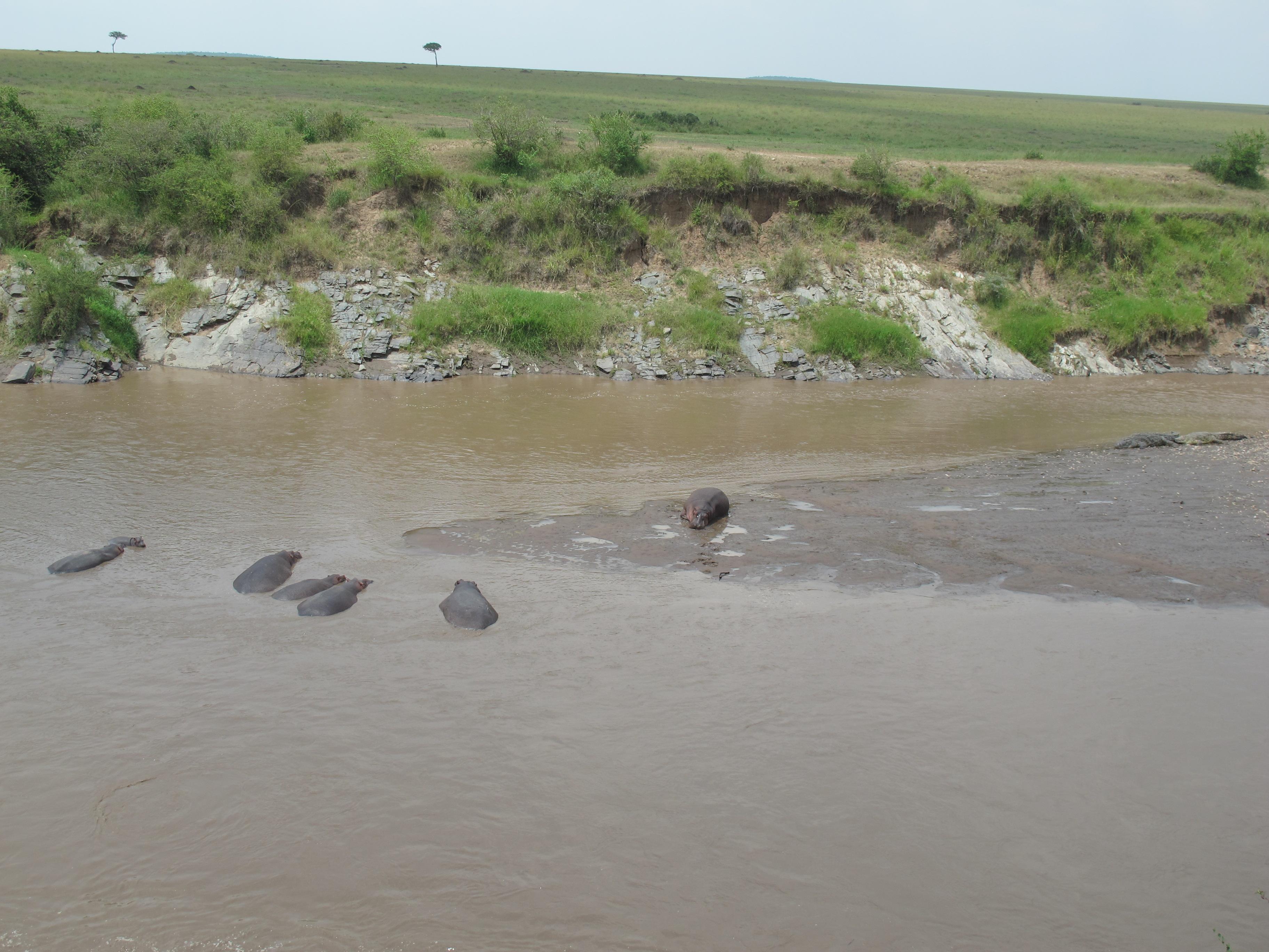 到非洲旅行带 8 岁小朋友同行有哪些需要注意的事项?