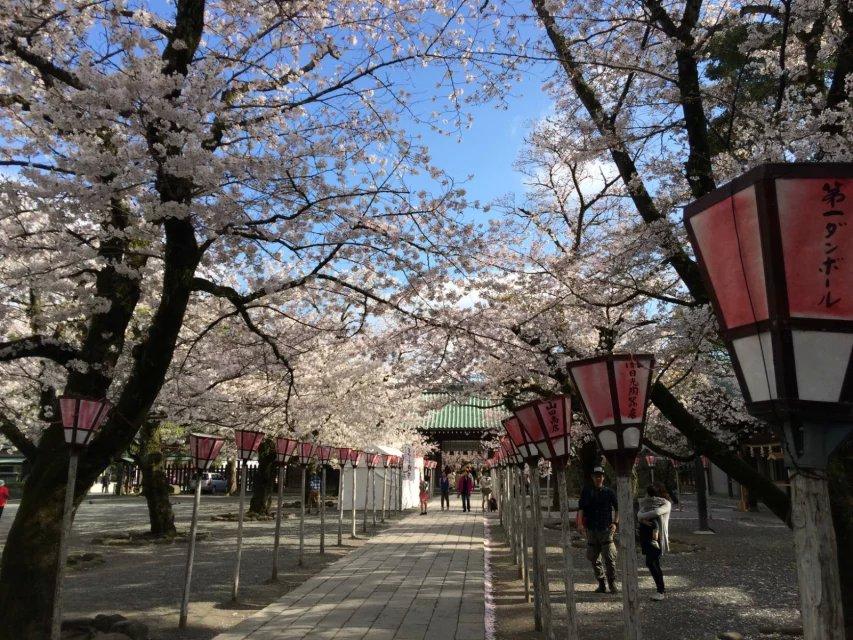 想去日本深度旅游,有哪些冷门的地方景点一定