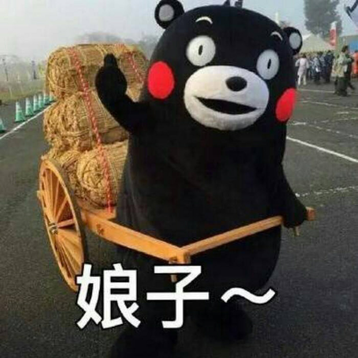 被猫抓伤,需要打狂犬疫苗吗? - 爱蔡蔡真是太好