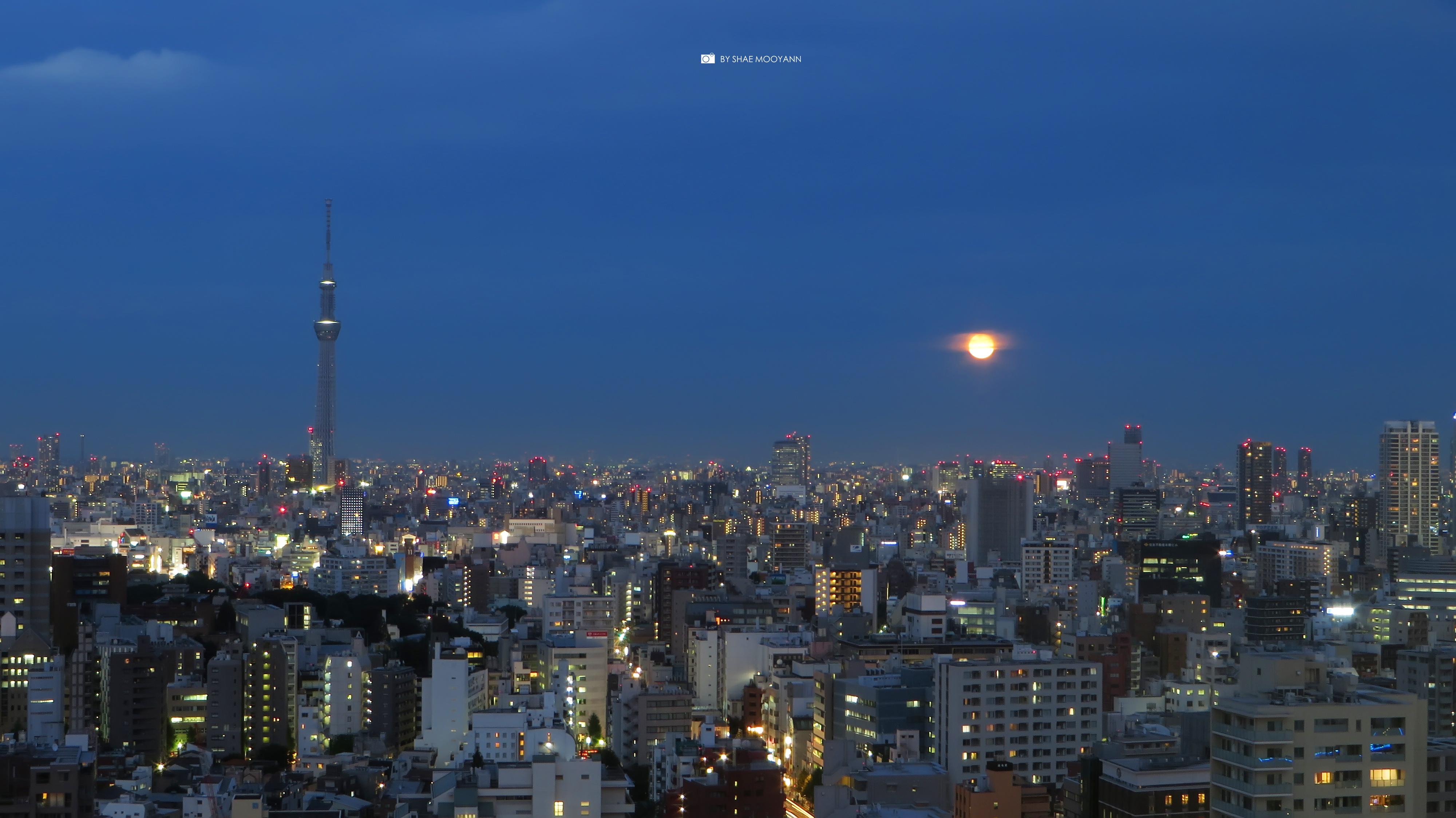 这个夏天最美的东京 - 知乎