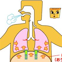 软腭上抬动图图片