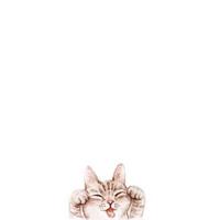 Zhihu profile picture for @swarovski