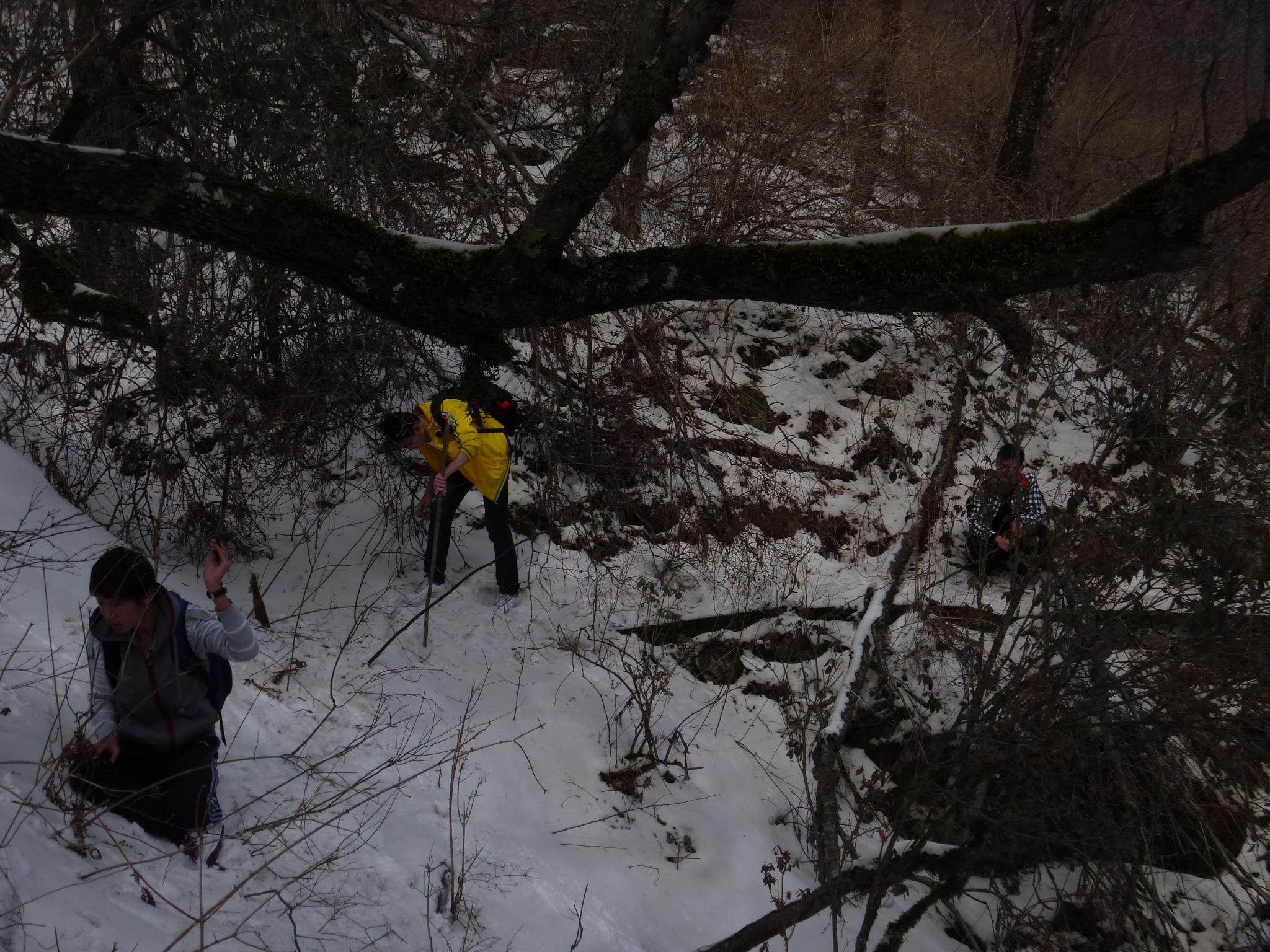 五六个大学生组织一场小型户外探险活动,目标
