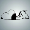 Rounded avatar