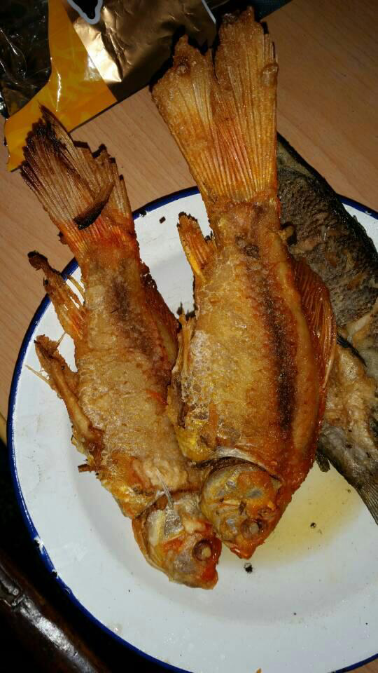 嗯,你没猜错. 油炸金鱼.外婆听说我要回家看她特意给我做的.