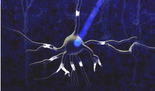 人类能变成光吗?