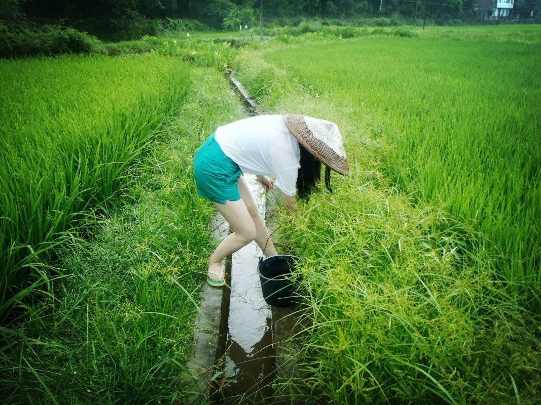 如何体验到像周杰伦《稻香》歌词中所描写的生