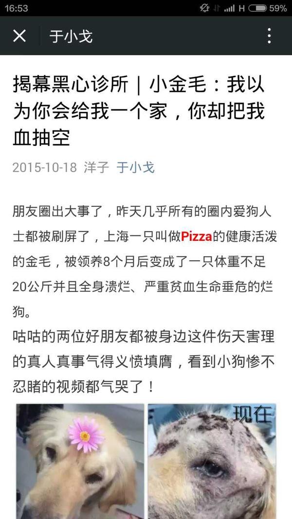 宠物医院对动物血液需求有多大 来源主要是什么 知乎