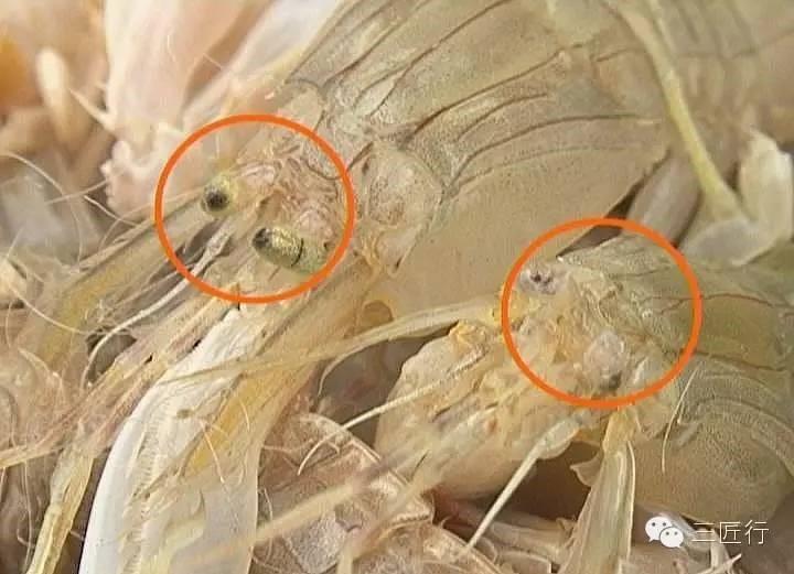 又到了吃皮皮虾的季节了,该怎样优雅的吃皮皮