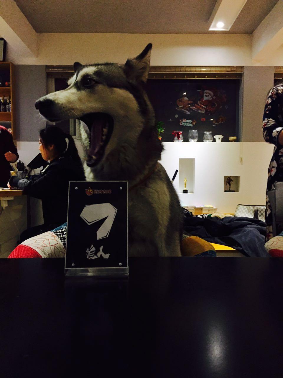 你玩狼人杀有什么独家技巧?