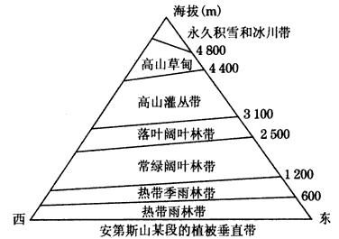 瀴栉夀