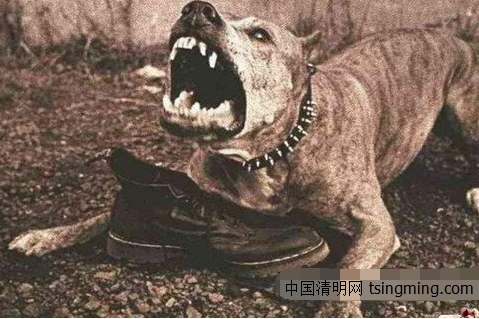 怎么看待陈鹤皋老师的无限制格斗?