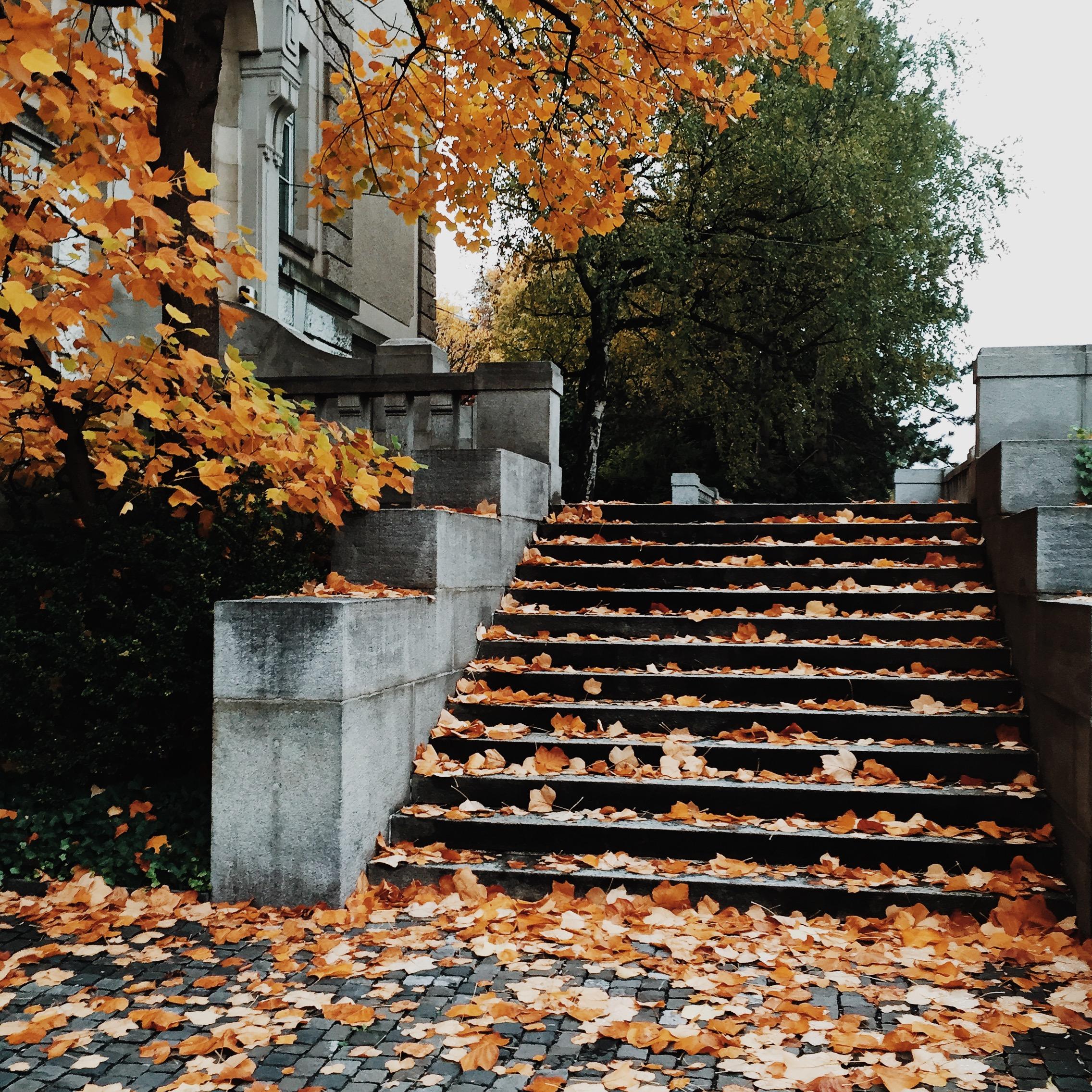 在苏黎世大学(university of zurich)读书是一番怎样的体验 知乎