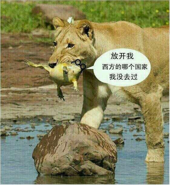 为什么现在关于突发事件的优秀的深度报道越来