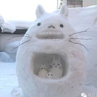 吃猪的草