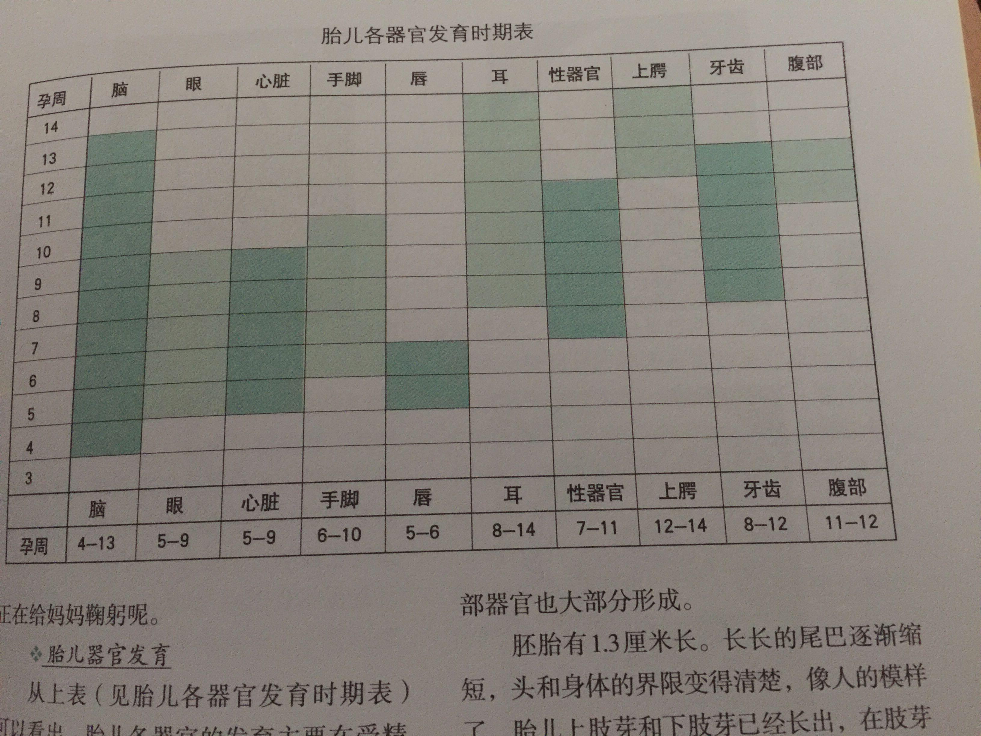 50天孕囊男孩对照表图片