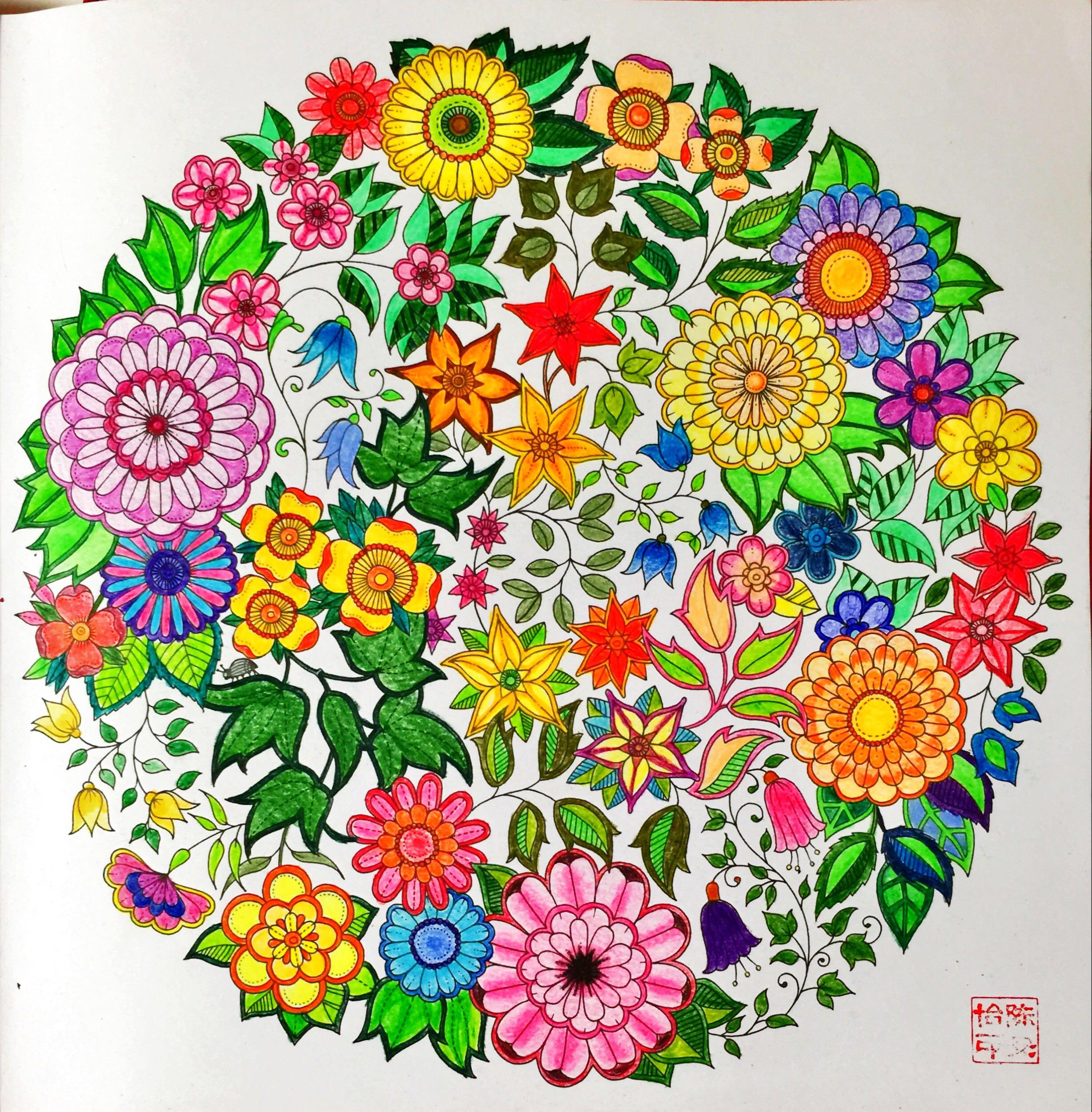 零基础怎么画好《secret garden 秘密花园》?