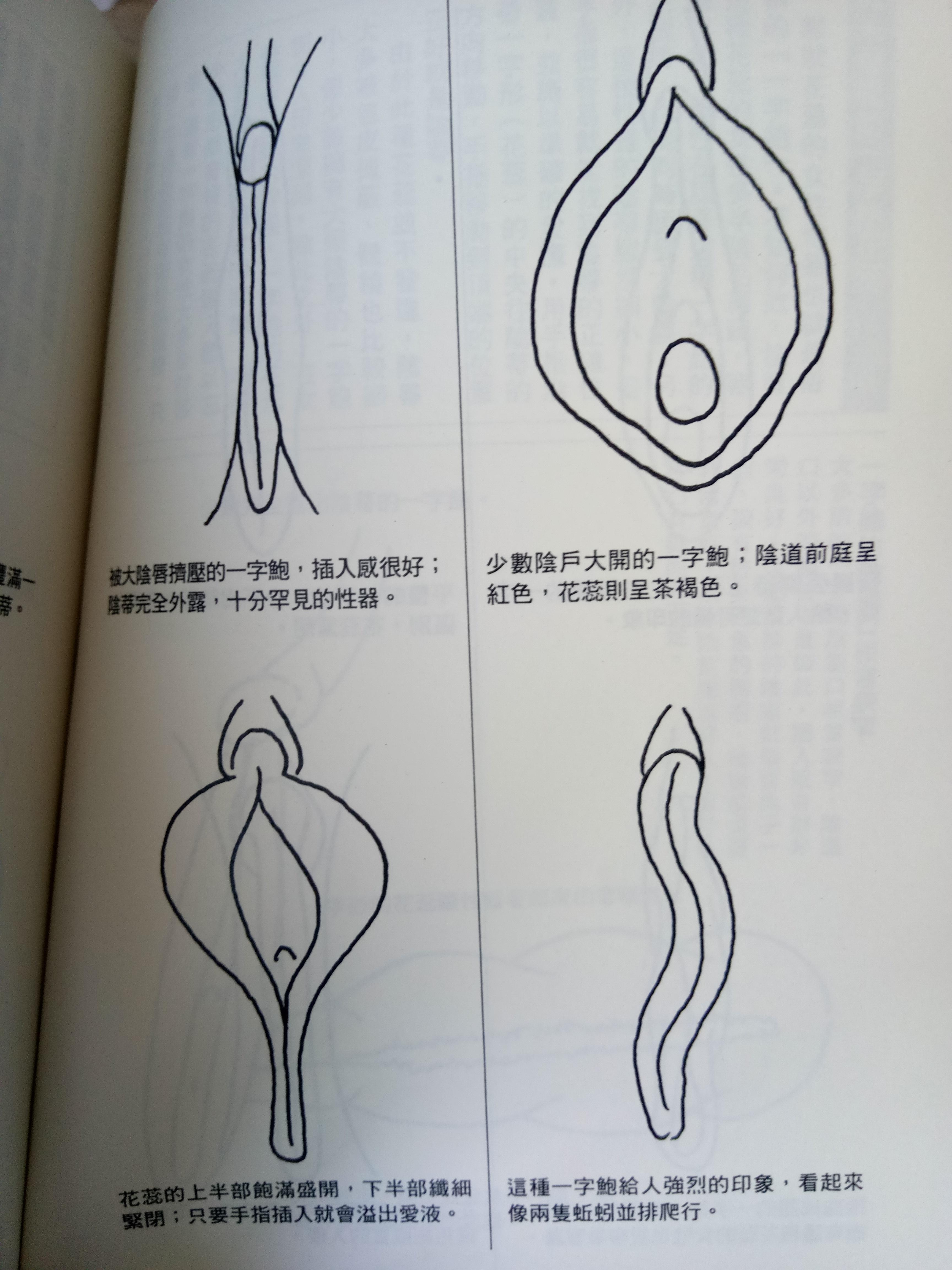 男生第一次看到女生生殖器有什么感觉? - 知乎