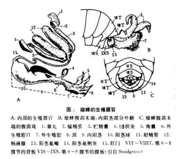 b3676c7aedee1275675d956e155b2d08_b.png