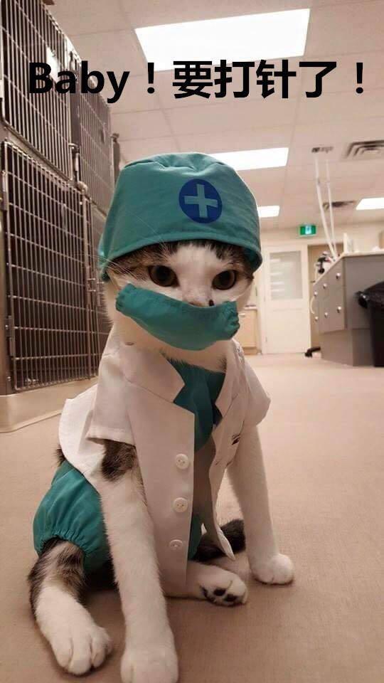 有什么情侣间玩的小游戏(现实中)有点小暧昧小