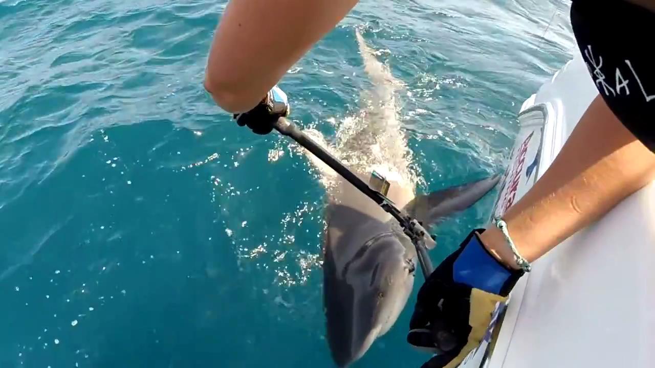 岸钓鲨鱼时的她则是这样的▼▼▼.