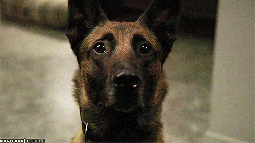 如何评价疑犯追踪pois05e07和e08