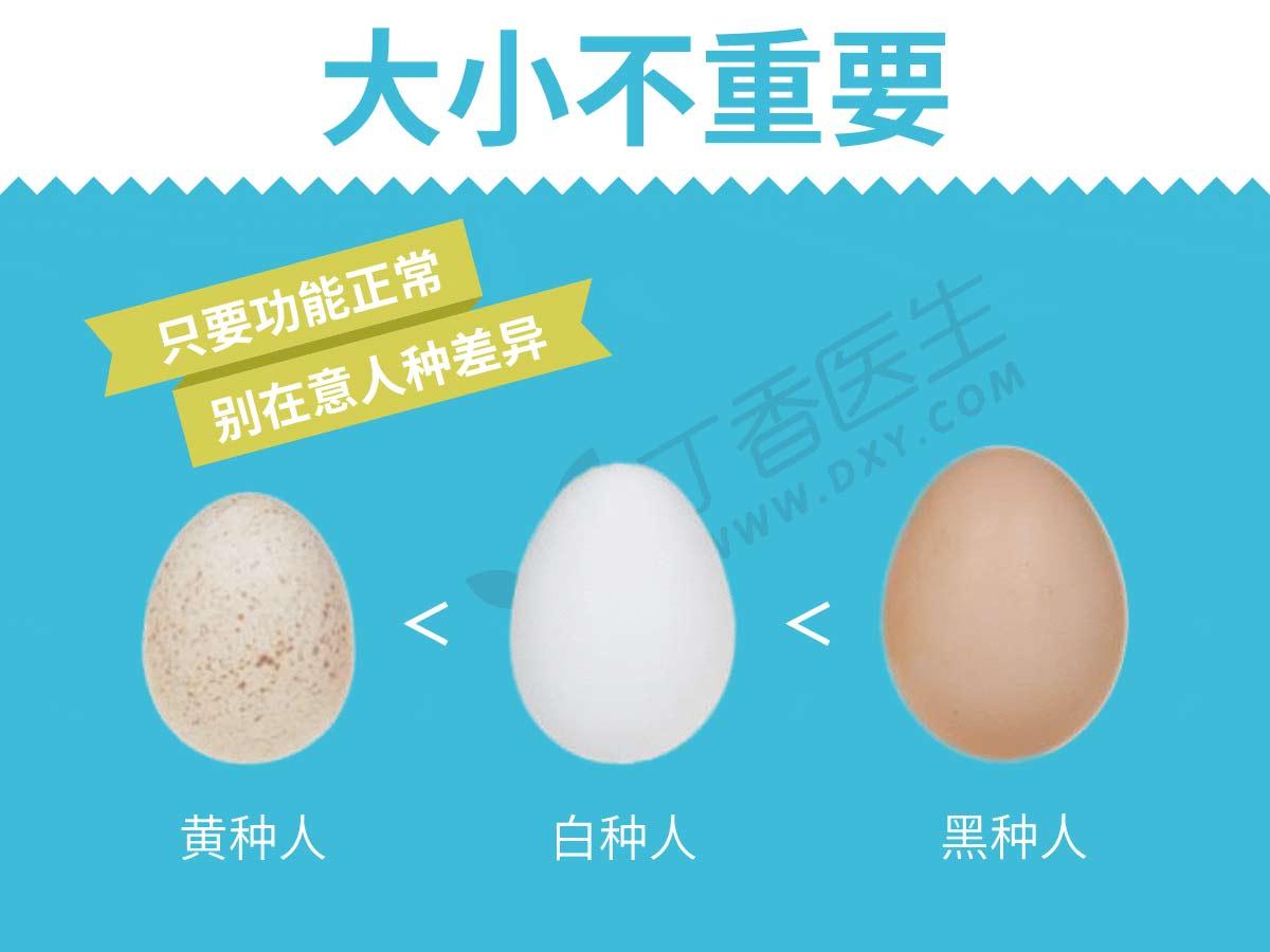 将各地年味带到你身边，辛巴、蛋蛋助力“中国青年年货节”_深圳新闻网