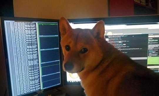 努力工作是年轻程序狗的特征,基本会废寝忘食,加班疯狂.