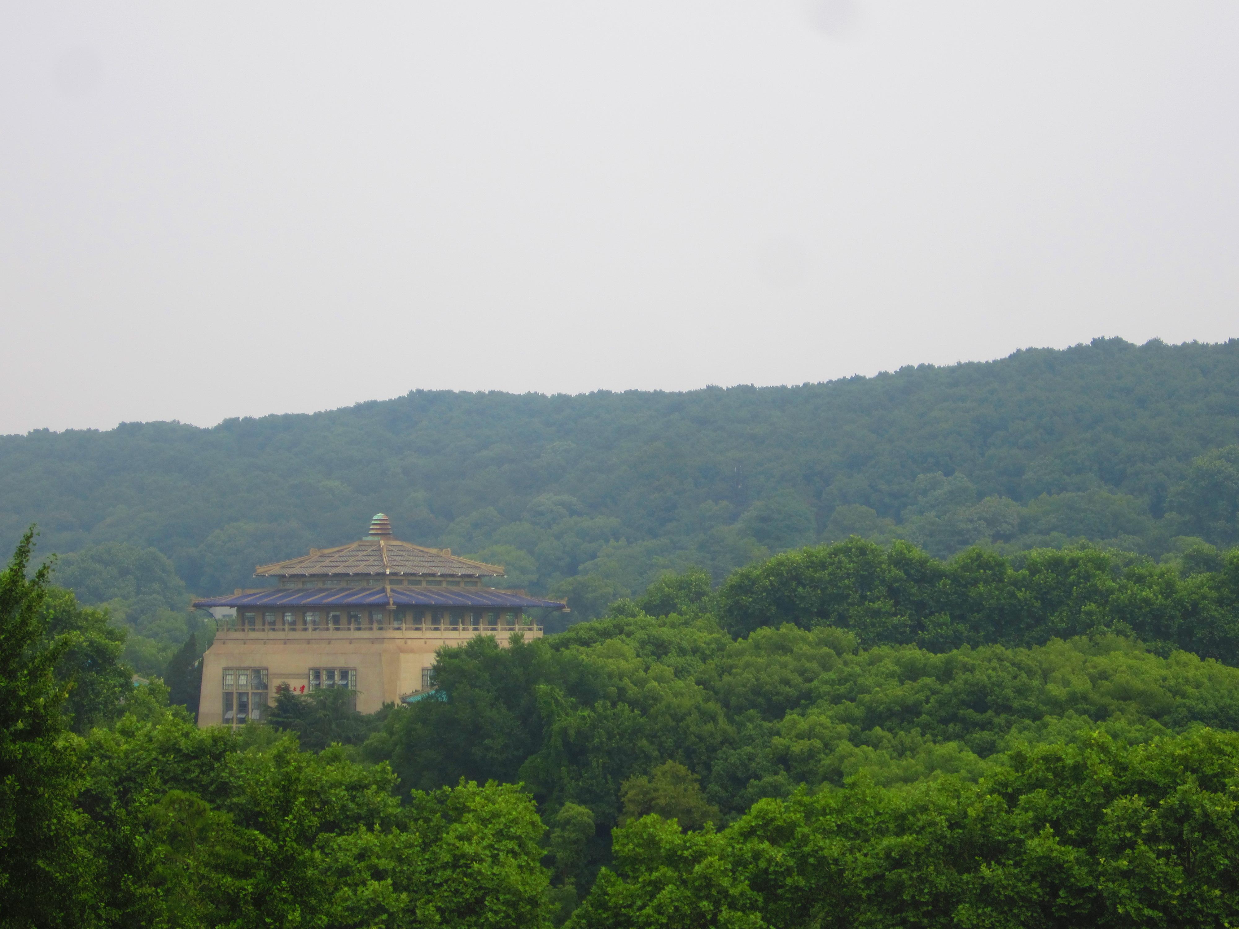 在武汉大学就读是怎样一番体验?