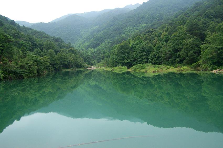 藤桥浙农生态园图片