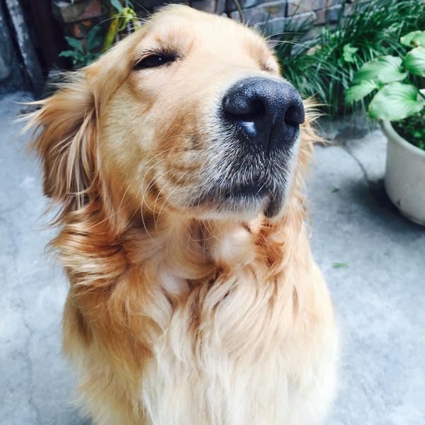 名字:二毛(也可以叫人家毛次郎)           因为我有个姐姐叫大毛