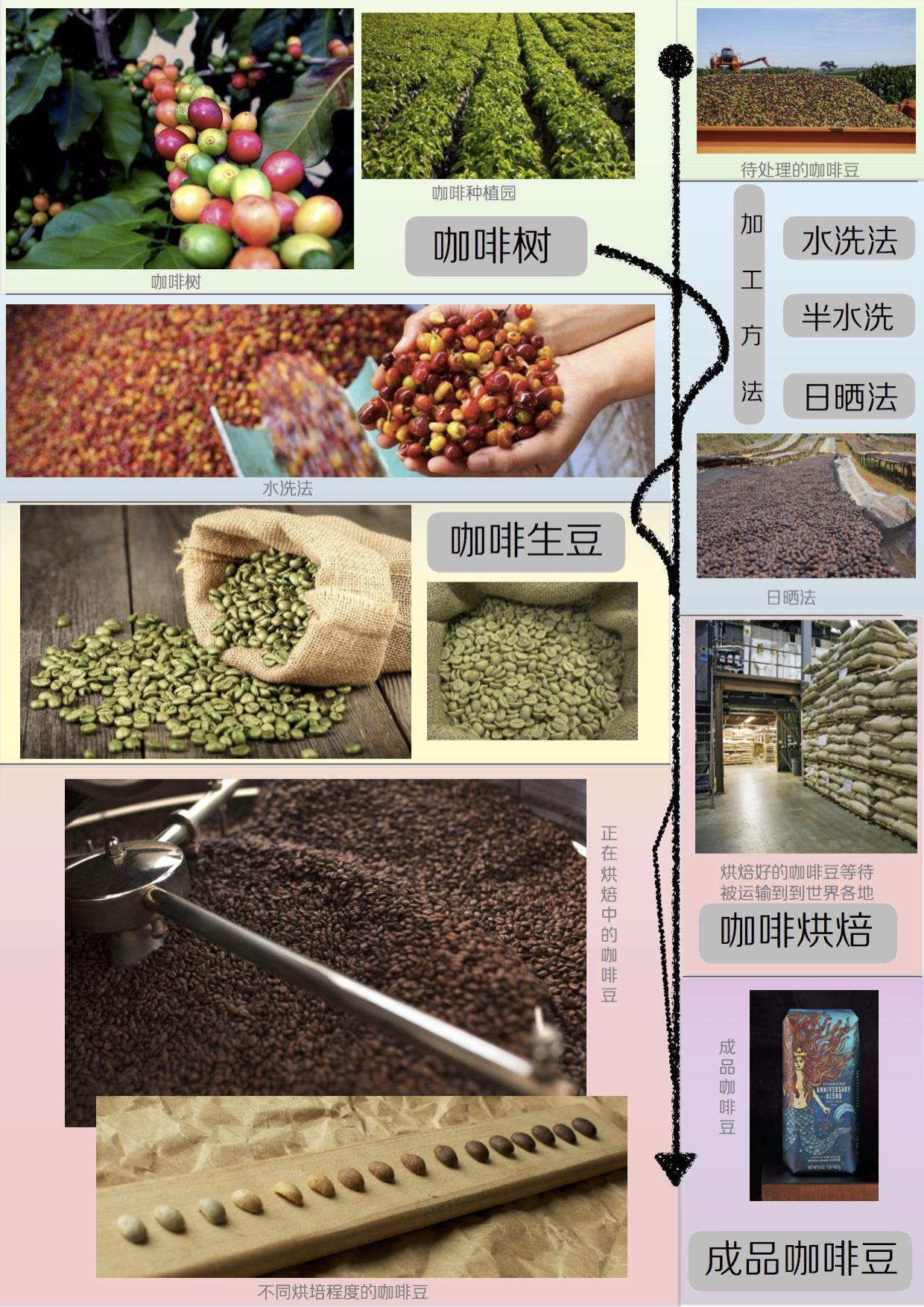 星巴克的黑咖啡质量如何？ 知乎 