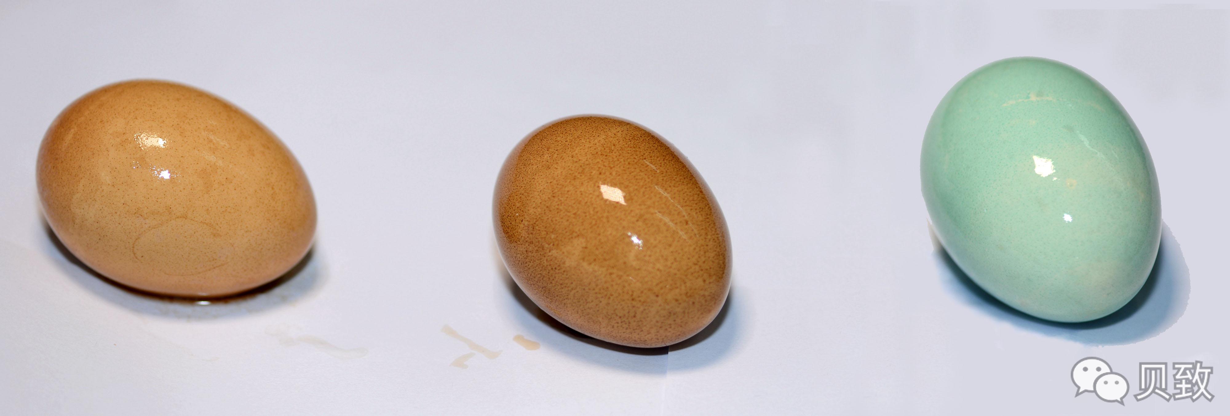 (转)谁能想到,饮料正在“谋杀”我们的牙齿 (转)谁能想到,饮料正在“谋杀”我们的牙齿