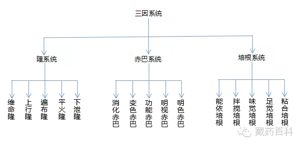 藏医药基础理论三因学说三因学说内涵简述