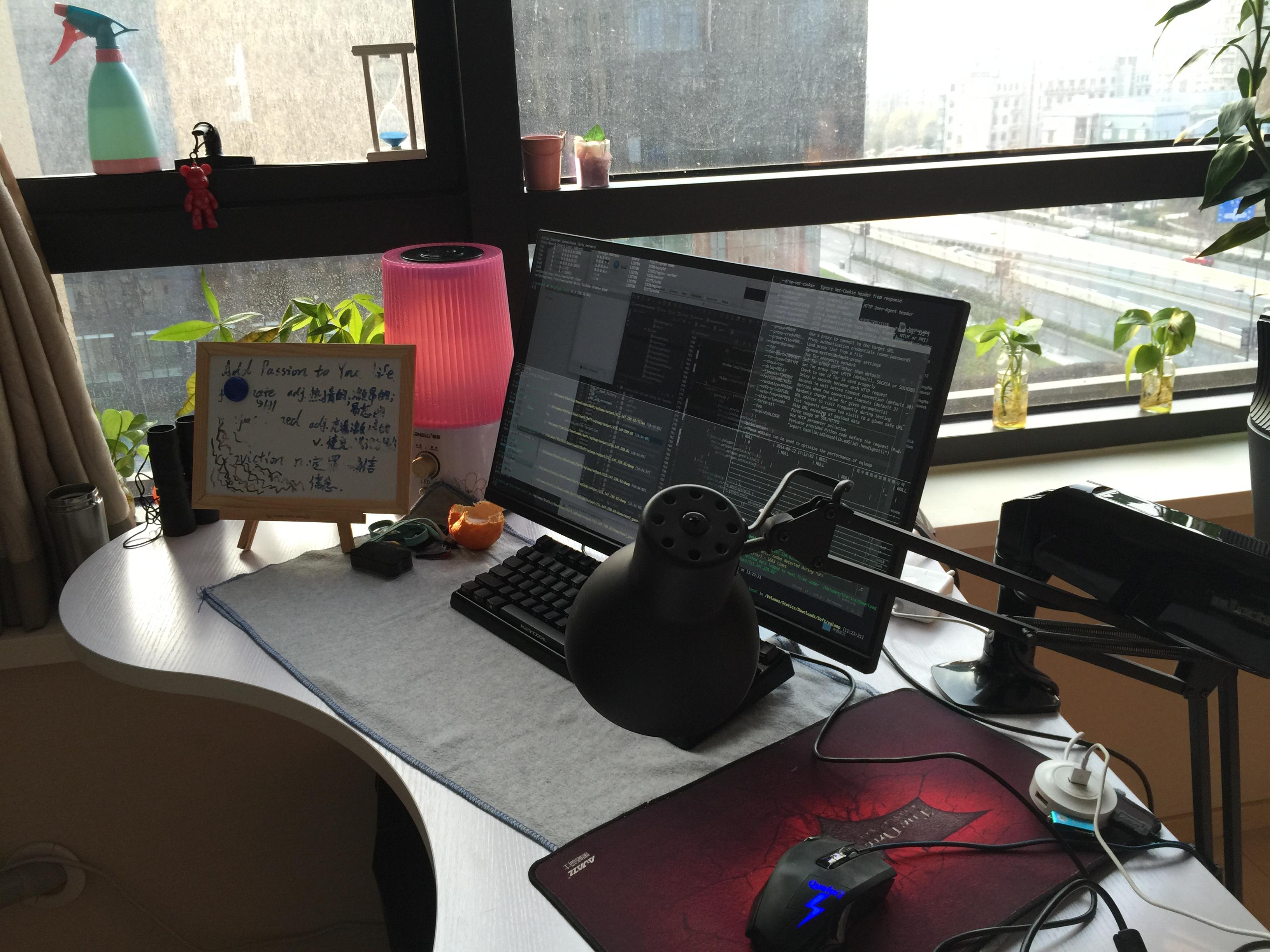 显著提升程序员身心健康和工作效率的装备有哪些?