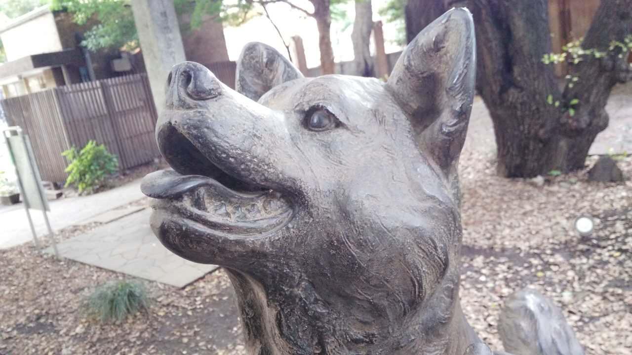 有哪些能让你产生强烈情绪的照片