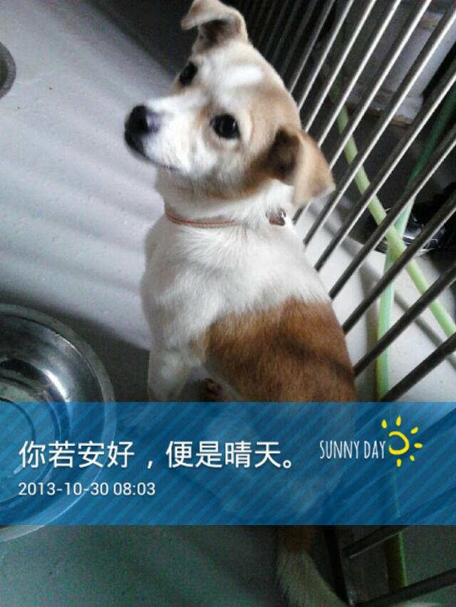 对一个超级想做医生的准高三学生,你有什么意