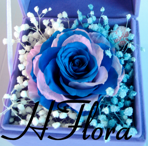 各种花的花语是什么? - 沁水莫邪的回答