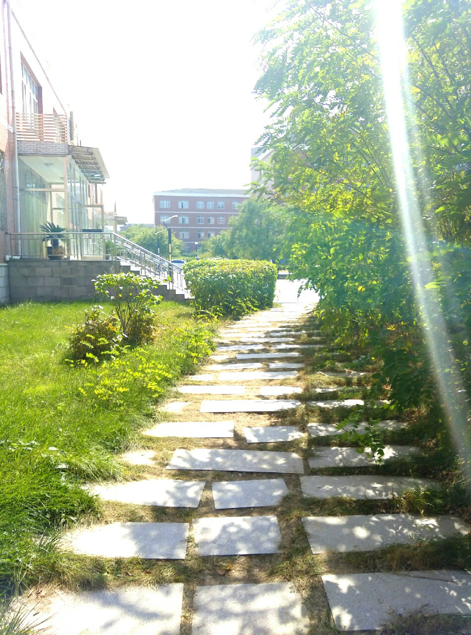 鞍山一中比沈阳二中怎么样? - 张兆洋的回答