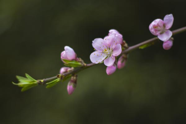 如何系统地自学摄影后期和调色？有什么工具能帮助？ - 知乎