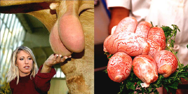 世界上都有哪些有毒的美食?