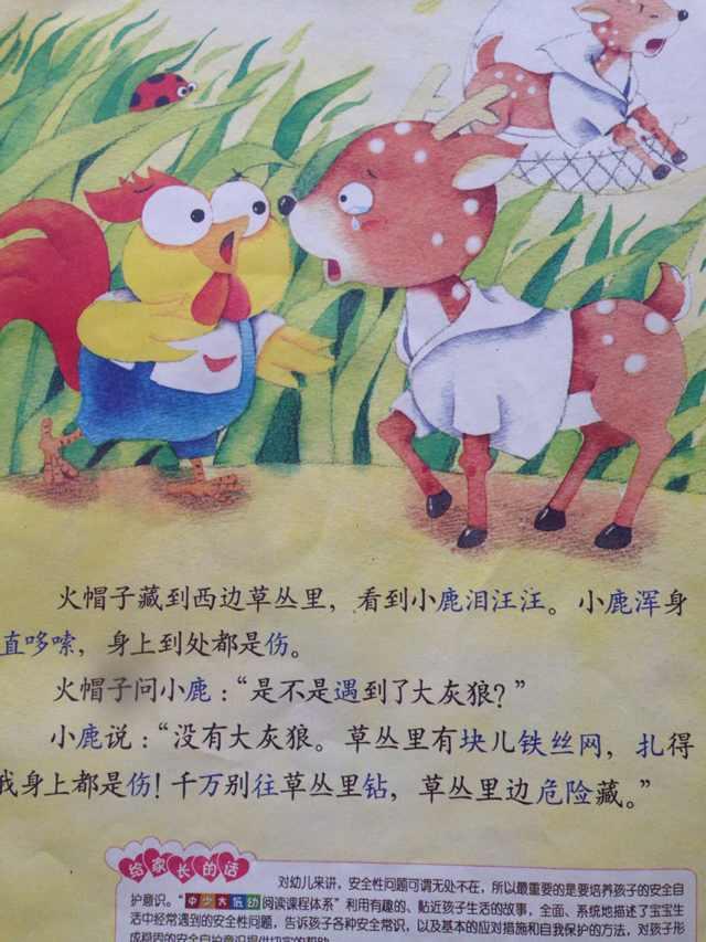 c90d0f896aad46433ff500eb74a587c5_r.jpg
