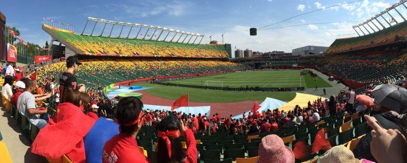 本次女足世界杯为什么选择只使用人造草坪场地