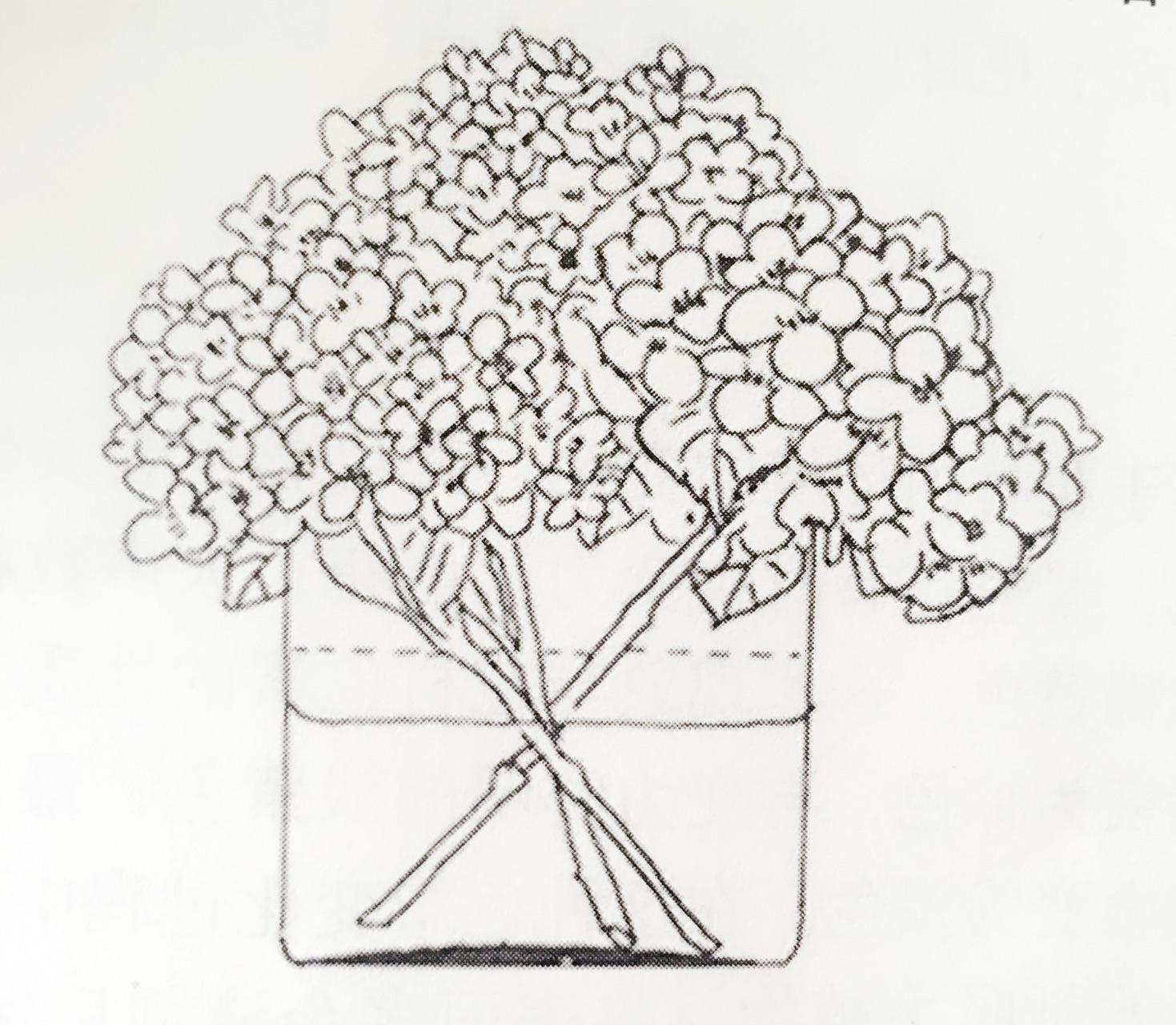 干花制作1立体干燥花