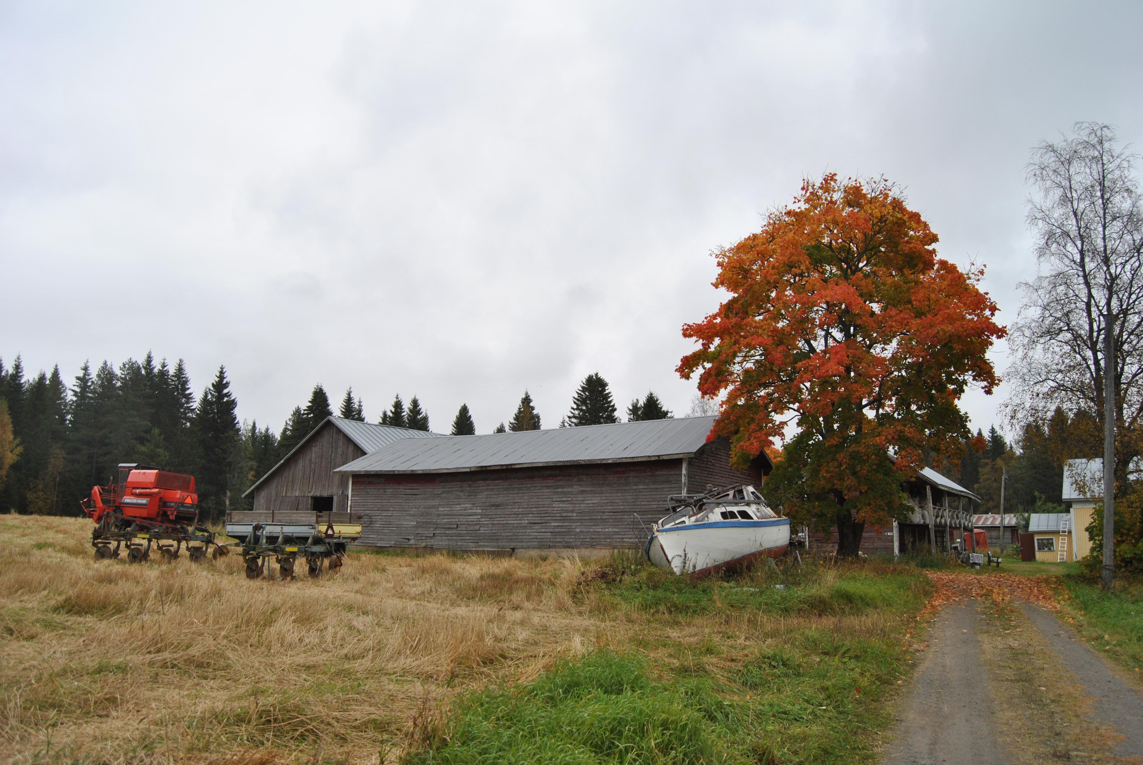 芬兰农业怎么样算是自给自足吗