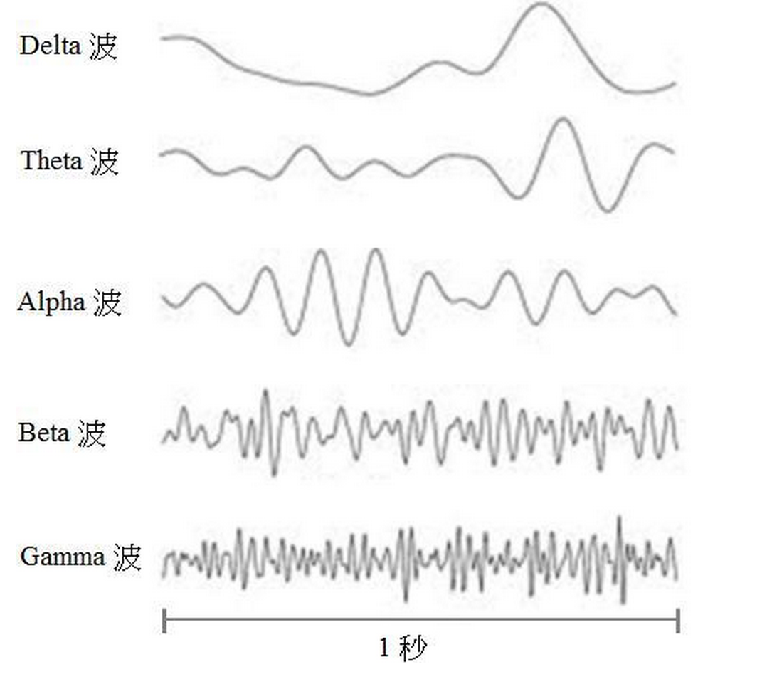 EEG脑电波采集原理及方法 - 赢富仪器-上海心理人因|生物力学|驾驶行为研究设备一站式解决方案提供者